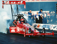 Kenny Bernstein Budweiser King Dragster 8x10 Color Photo