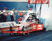 Kenny Bernstein Budweiser King Top Fuel Dragster Color 8x10 Photo